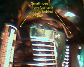 Tank vent hose