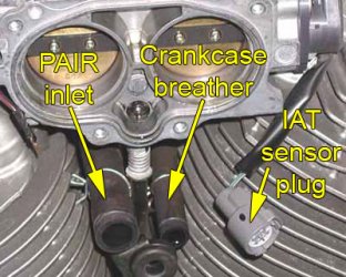 Throttle body w/ hoses