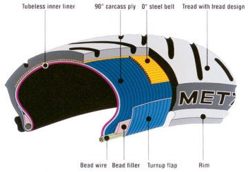 Cross-section of a typical radial tire