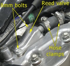 Rear cylinder reed valve