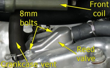 Front cylinder reed valve