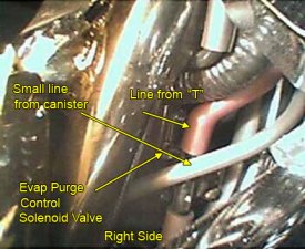 Right side lines