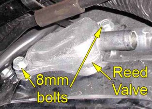 Rear cylinder reed valve