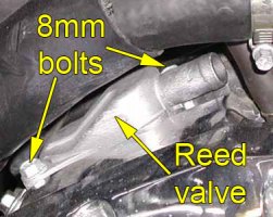 Front cylinder reed valve