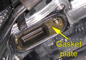 PAIR valve gasket plate