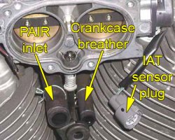 Throttle body w/ hoses