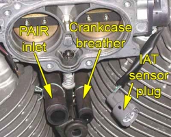 Throttle body w/ hoses